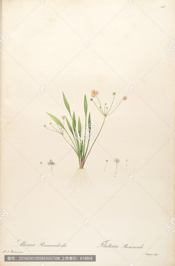 素雅花卉裝飾畫,畫廊品質(zhì)