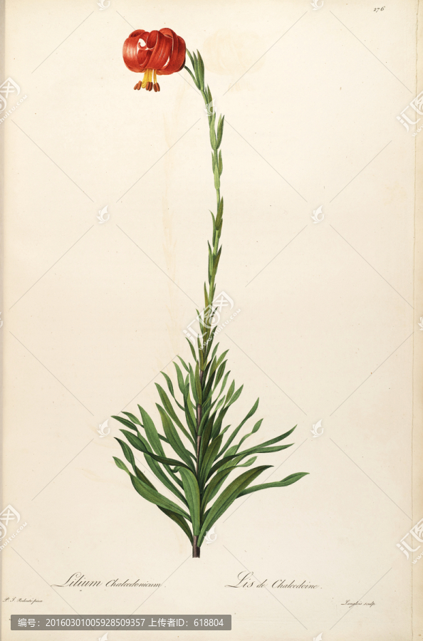 素雅花卉裝飾畫(huà),畫(huà)廊品質(zhì)