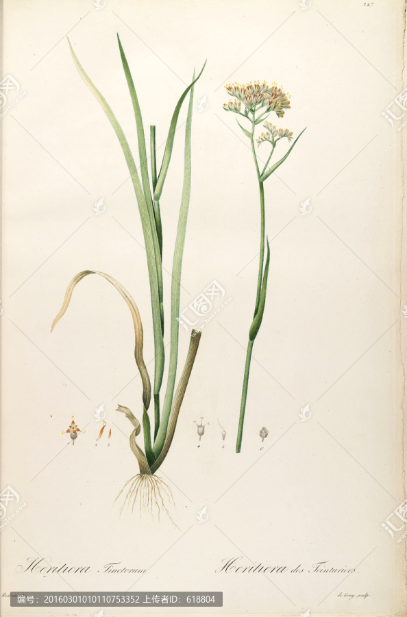 素雅花卉裝飾畫,畫廊品質(zhì)