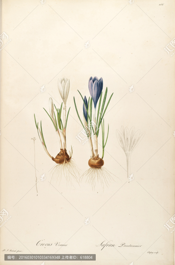 素雅花卉裝飾畫,畫廊品質(zhì)