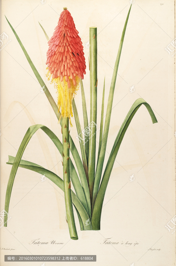 素雅花卉裝飾畫,畫廊品質(zhì)