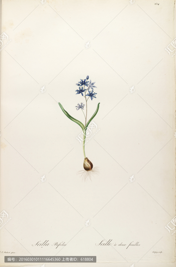 花卉板畫,畫廊專用畫片