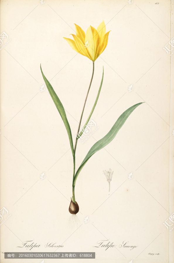 古色古香花卉裝飾畫,高清品質(zhì)