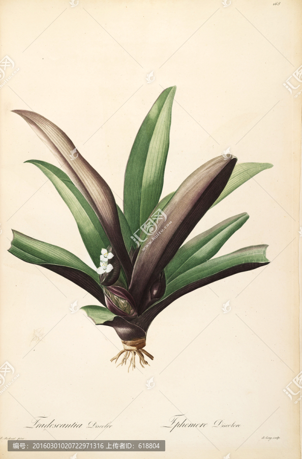 古色古香花卉裝飾畫,高清品質(zhì)