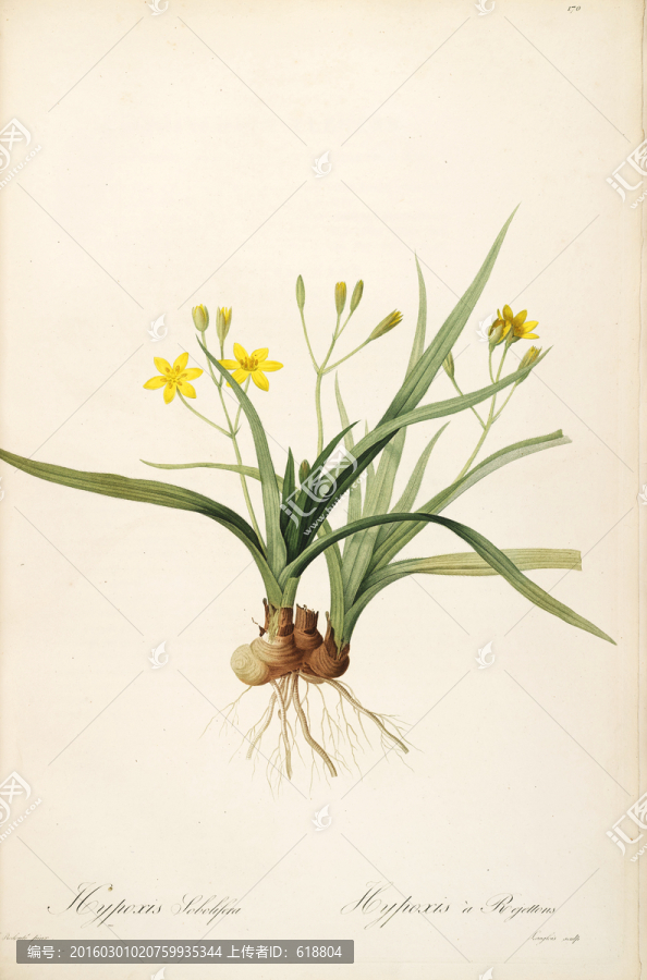 古色古香花卉裝飾畫,高清品質(zhì)
