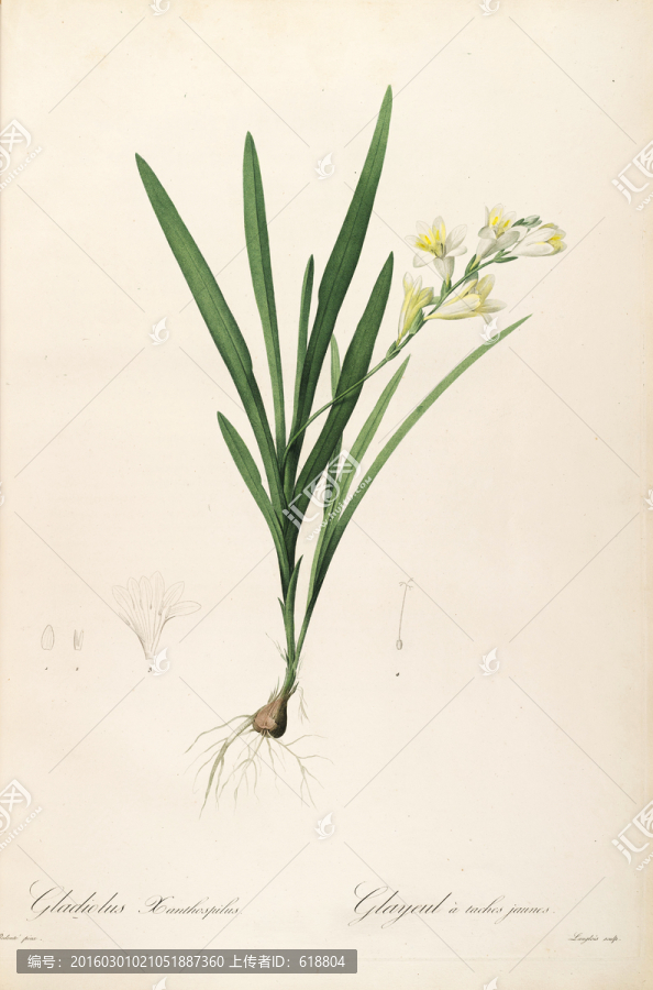 古色古香花卉裝飾畫(huà),高清品質(zhì)