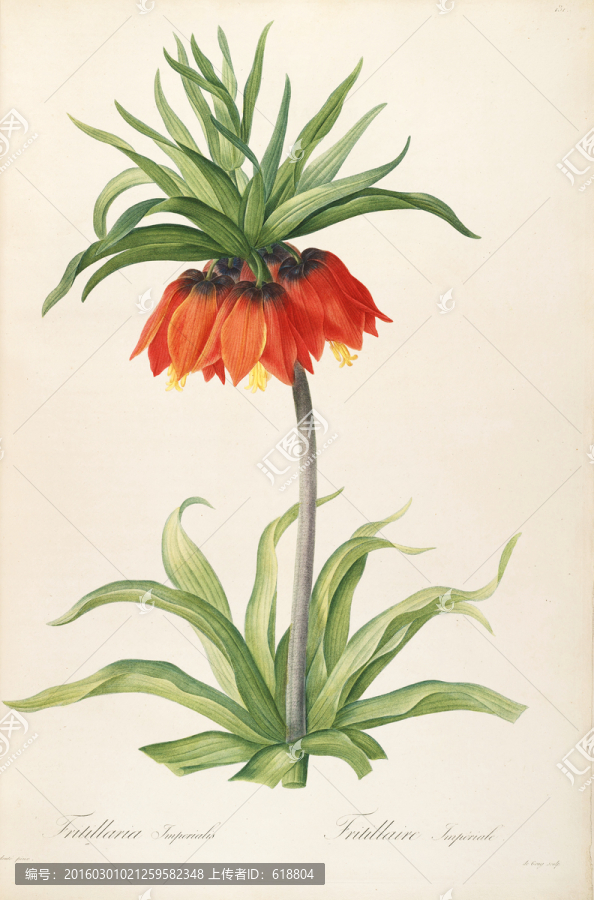 古色古香花卉裝飾畫,高清品質(zhì)