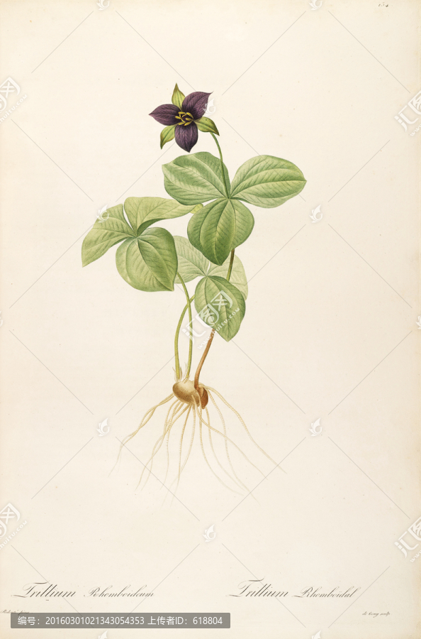 古色古香花卉裝飾畫,高清品質(zhì)