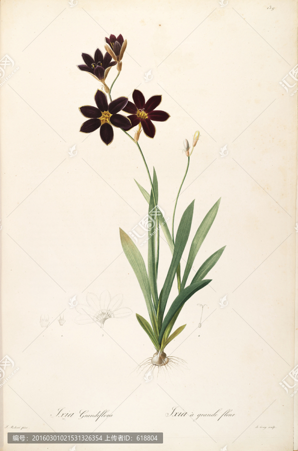 古色古香花卉裝飾畫,高清品質