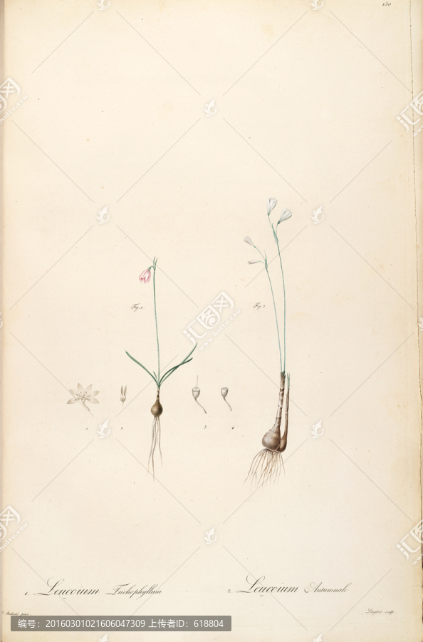 古色古香花卉裝飾畫,高清品質(zhì)