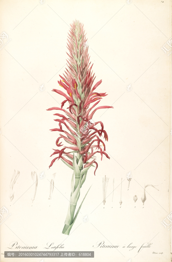 歐式花卉圖案,畫(huà)廊高清品質(zhì)