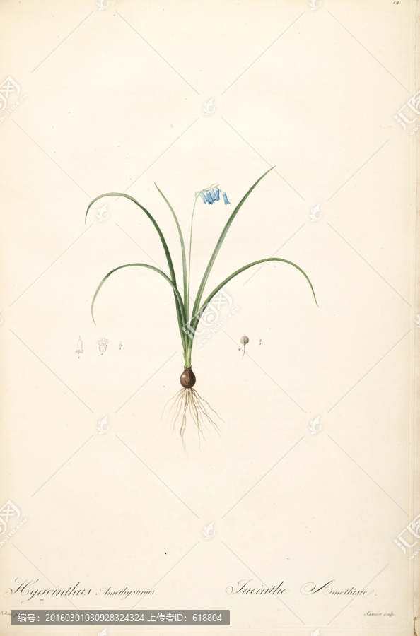 歐美花卉裝飾畫,畫廊品質(zhì)