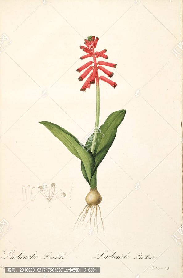 簡約花卉靜物裝飾畫,畫廊品質(zhì)
