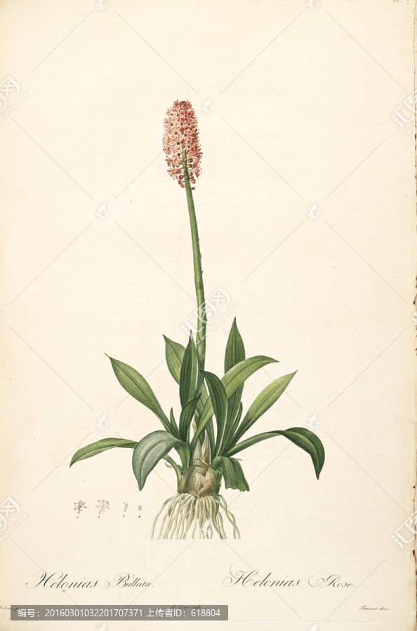 簡(jiǎn)約花卉靜物裝飾畫,畫廊品質(zhì)