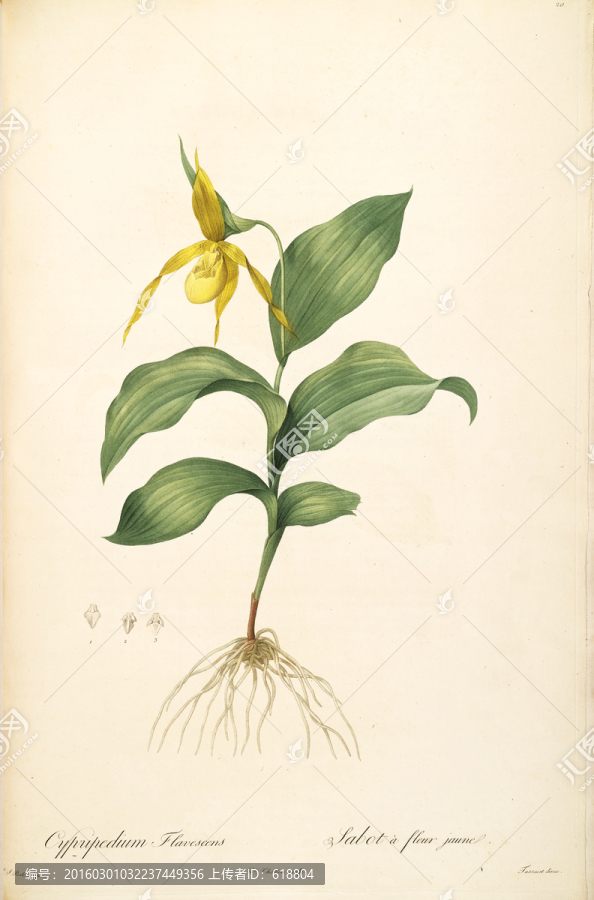 簡(jiǎn)約花卉靜物裝飾畫(huà),畫(huà)廊品質(zhì)
