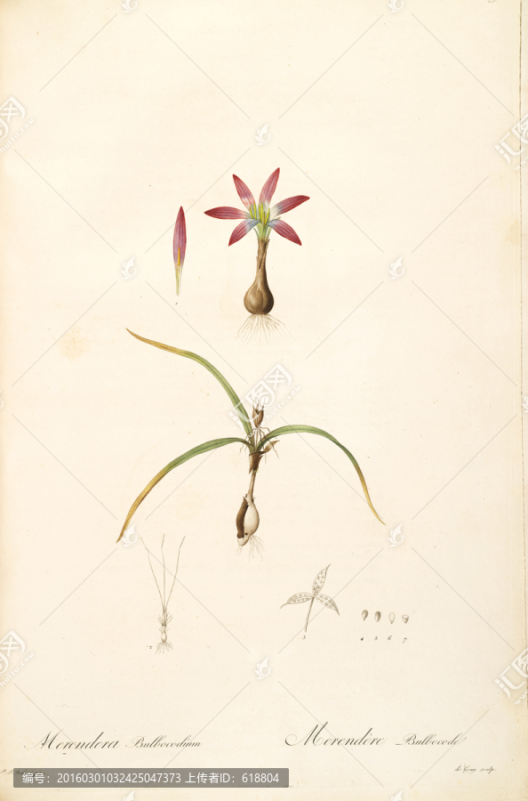 簡約花卉靜物裝飾畫,畫廊品質(zhì)