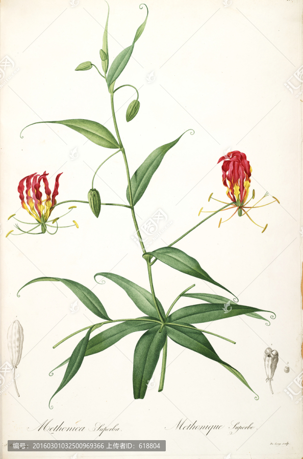 簡(jiǎn)約花卉靜物裝飾畫,畫廊品質(zhì)