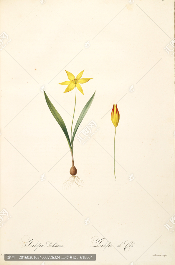 美克美家花卉油畫(huà),畫(huà)廊品質(zhì)