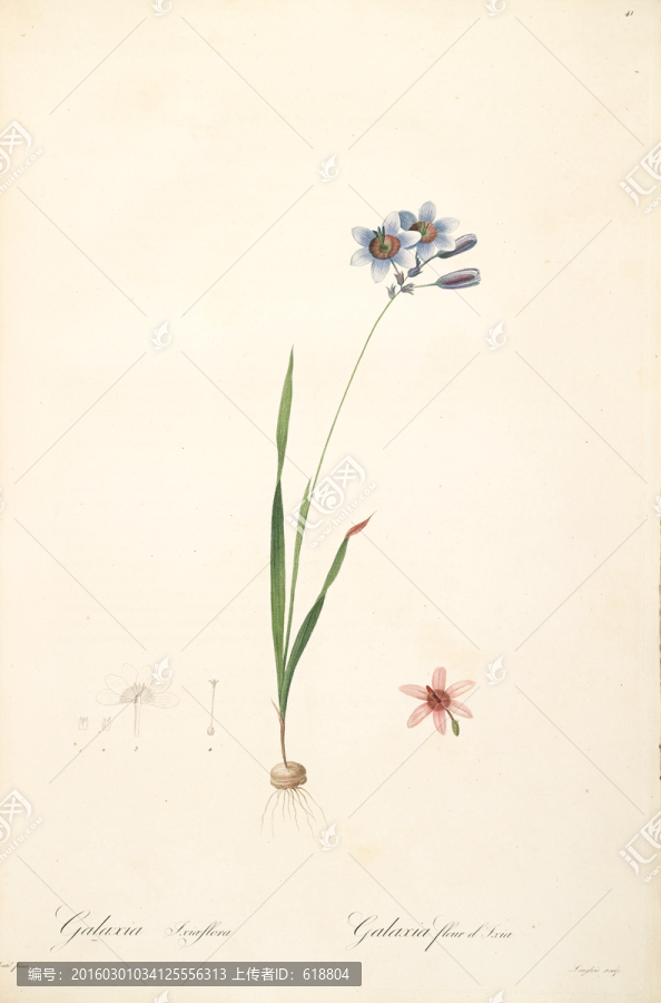 美克美家花卉油畫(huà),畫(huà)廊品質(zhì)