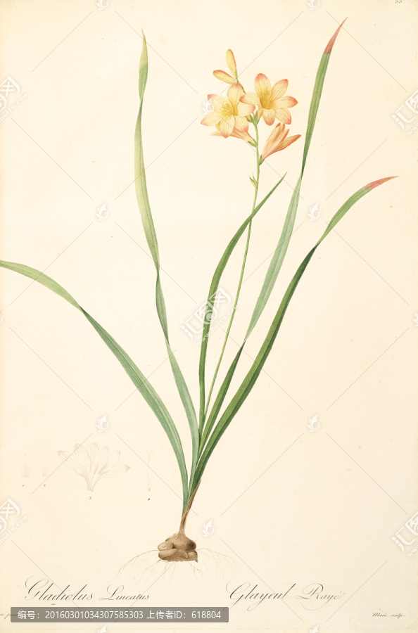 美克美家花卉油畫,畫廊品質(zhì)
