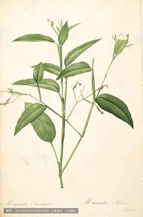 美克美家花卉油畫,畫廊品質(zhì)