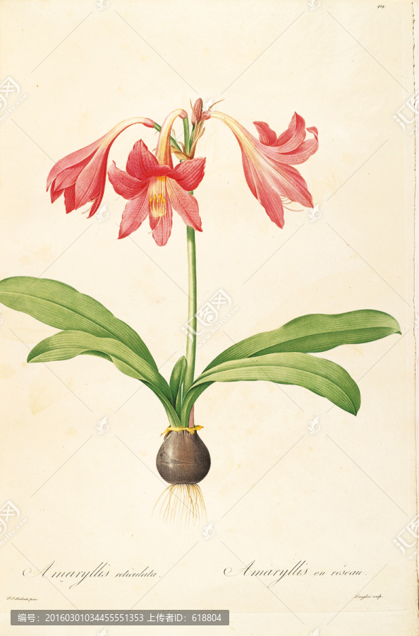 美克美家花卉油畫,畫廊品質(zhì)