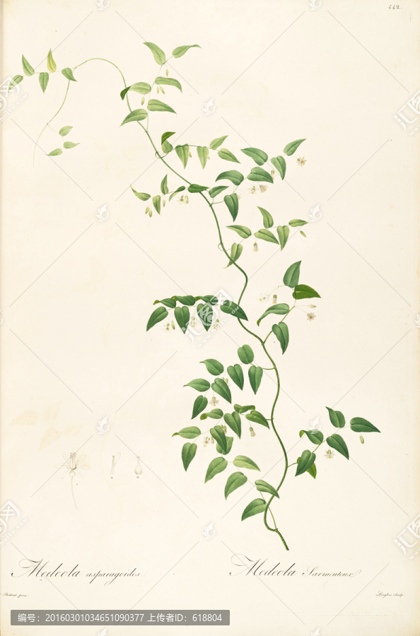 美克美家花卉油畫,畫廊品質