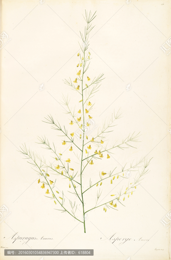 美克美家花卉油畫(huà),畫(huà)廊品質(zhì)