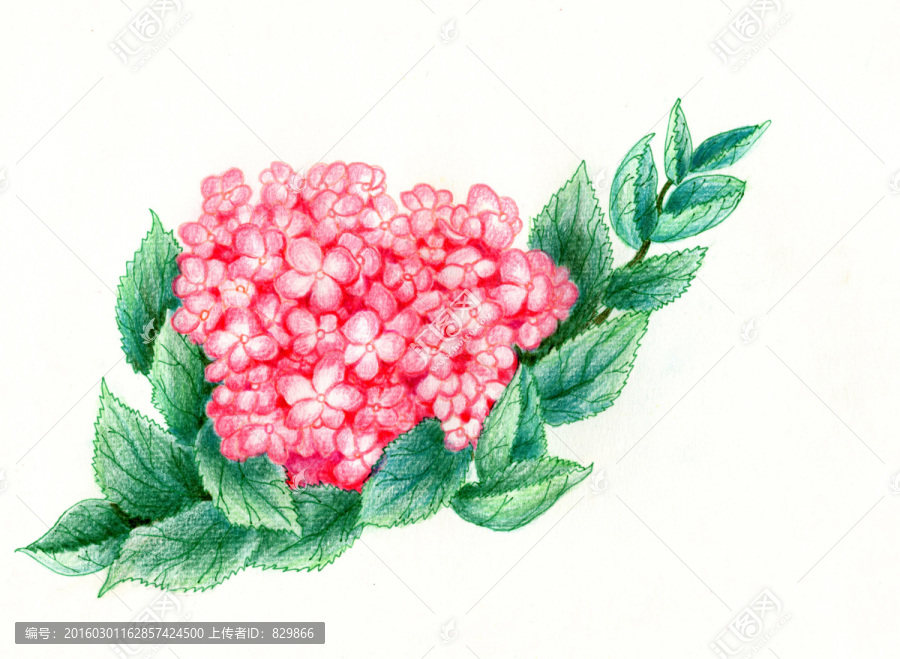小花