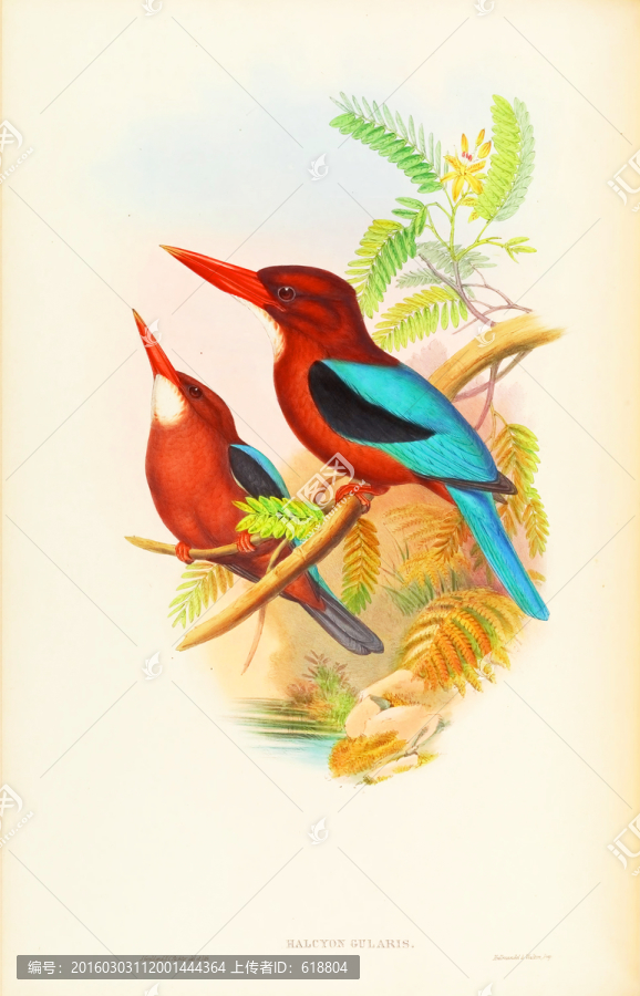 花鳥屏風(fēng)玄關(guān)畫,高清品質(zhì)