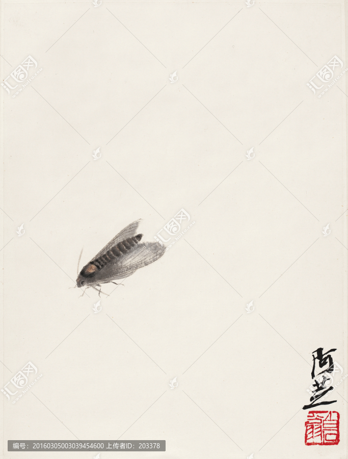 齊白石灰蛾