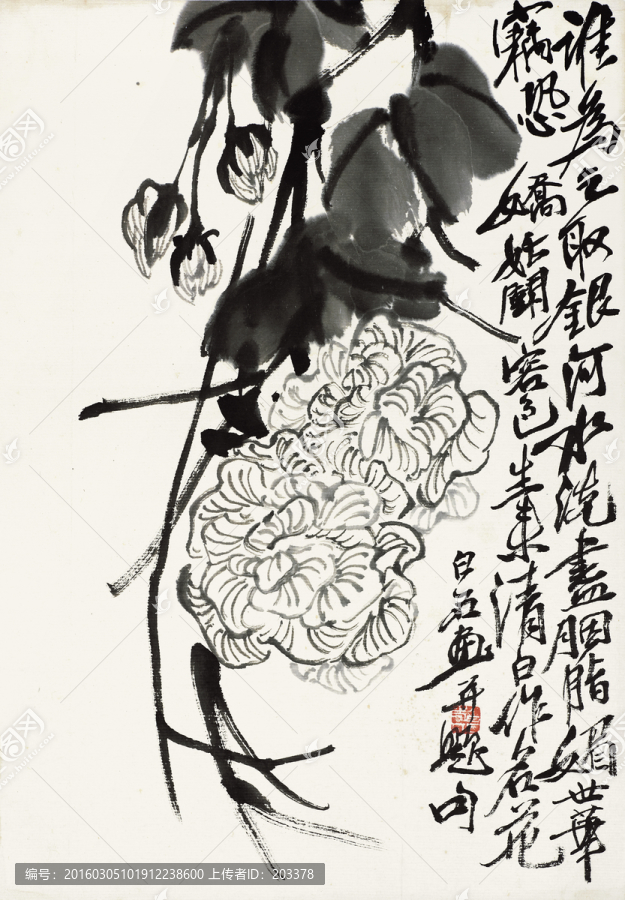 齊白石繪畫(huà)作品高清圖