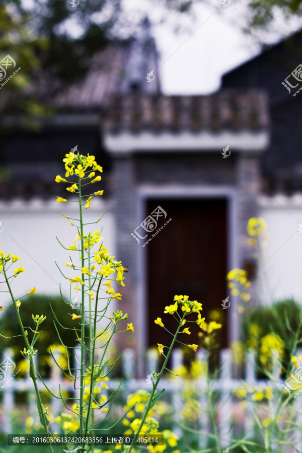 宋隆小镇,仿古宅院