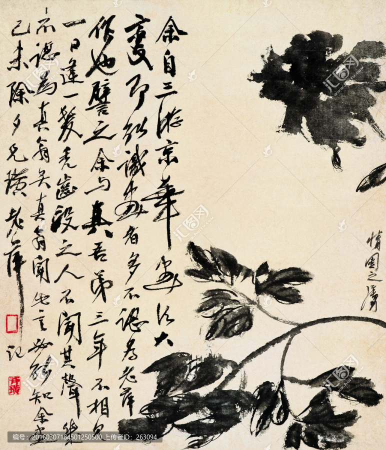 植物字畫