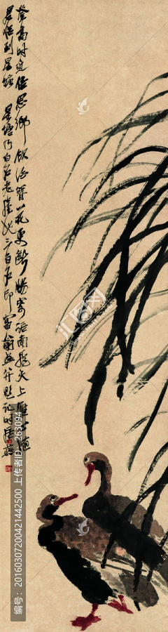 齊白石,兩只鴨子