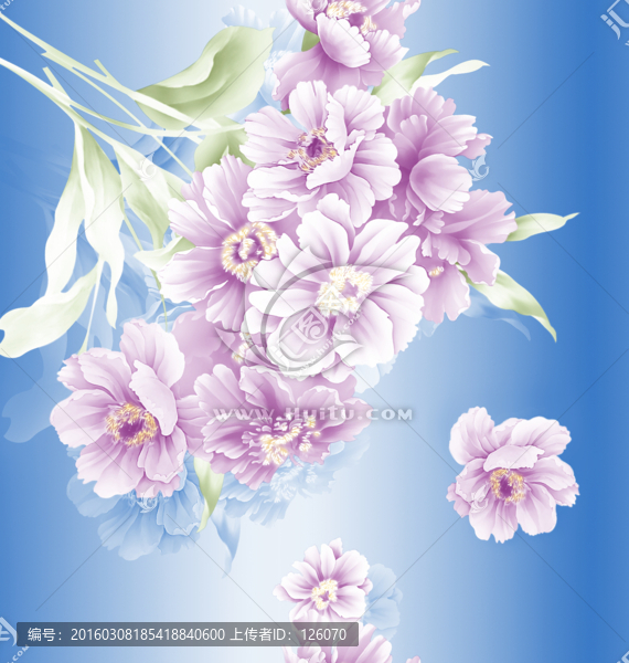 花卉