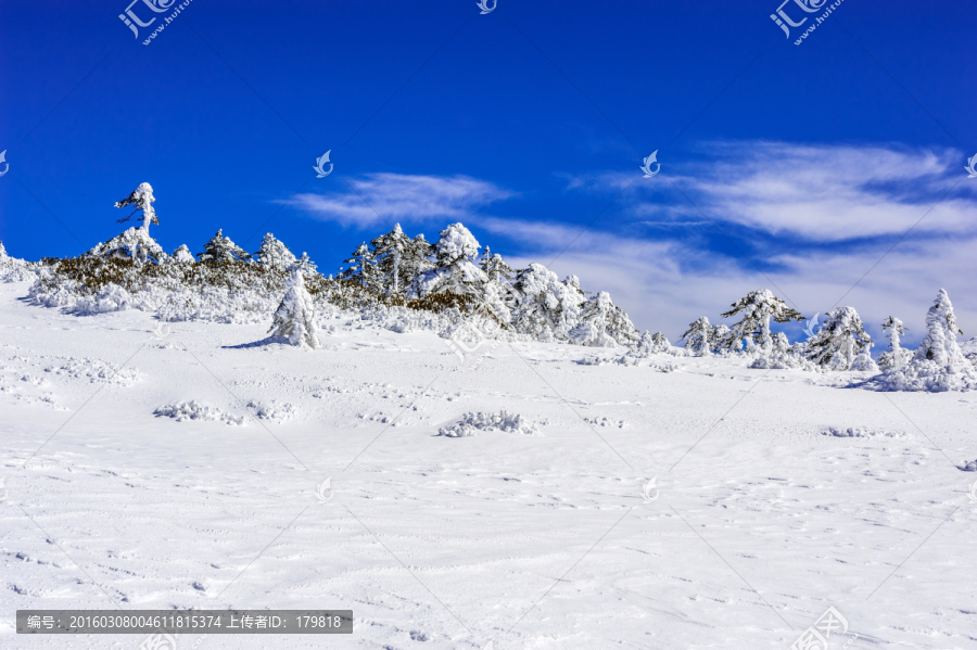 昆明轿子雪山