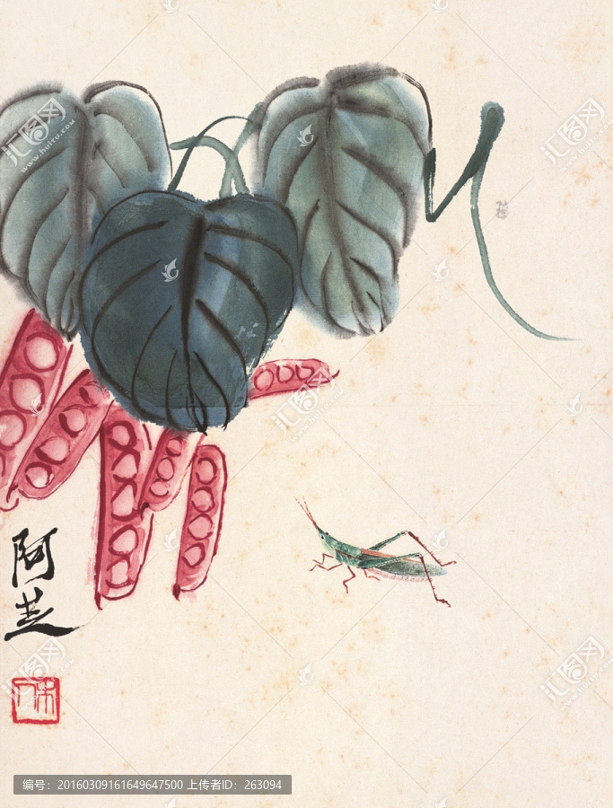 昆蟲與扁豆