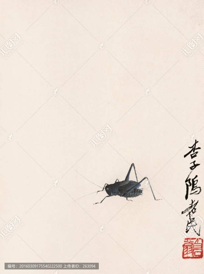 昆蟲