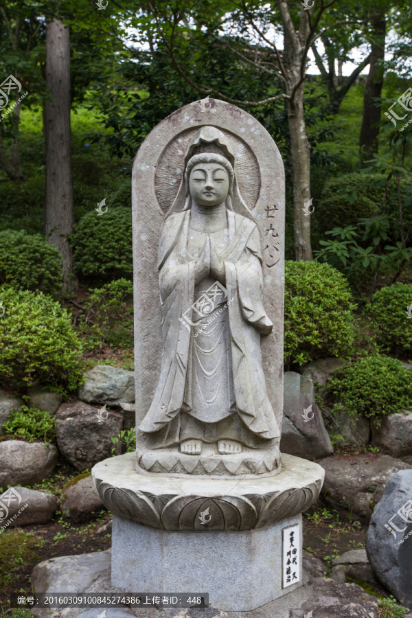 佛像,日本平和公园佛像