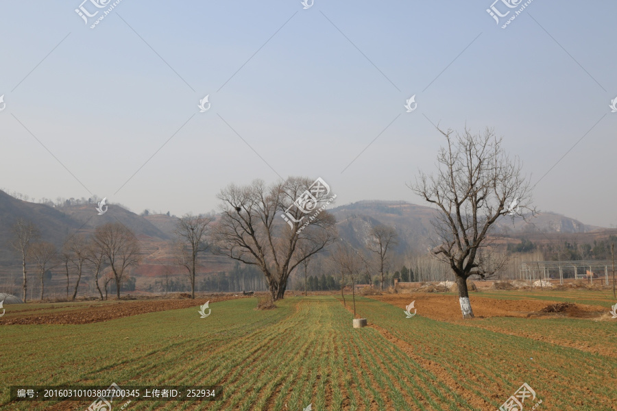 田间风景