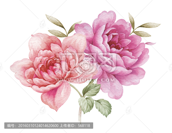 水彩花