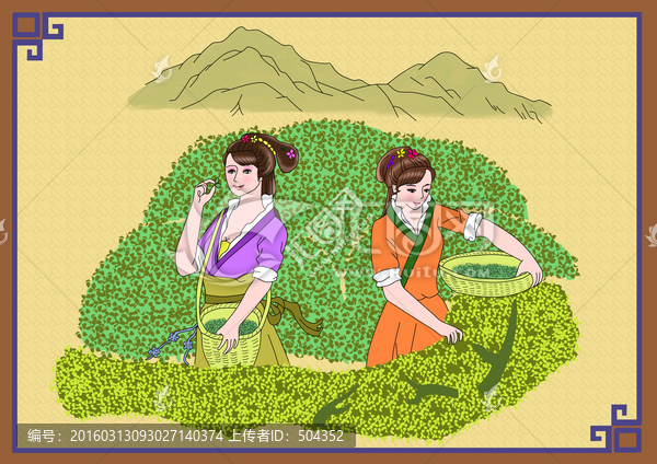 采茶,插畫,茶園