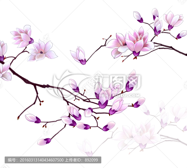 百合