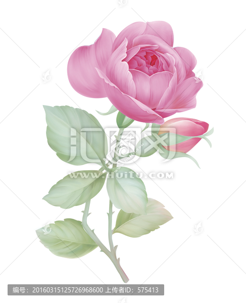 小朵花