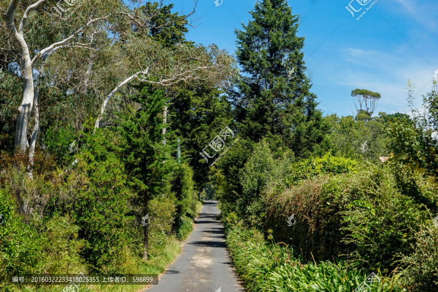 阳光花园小路