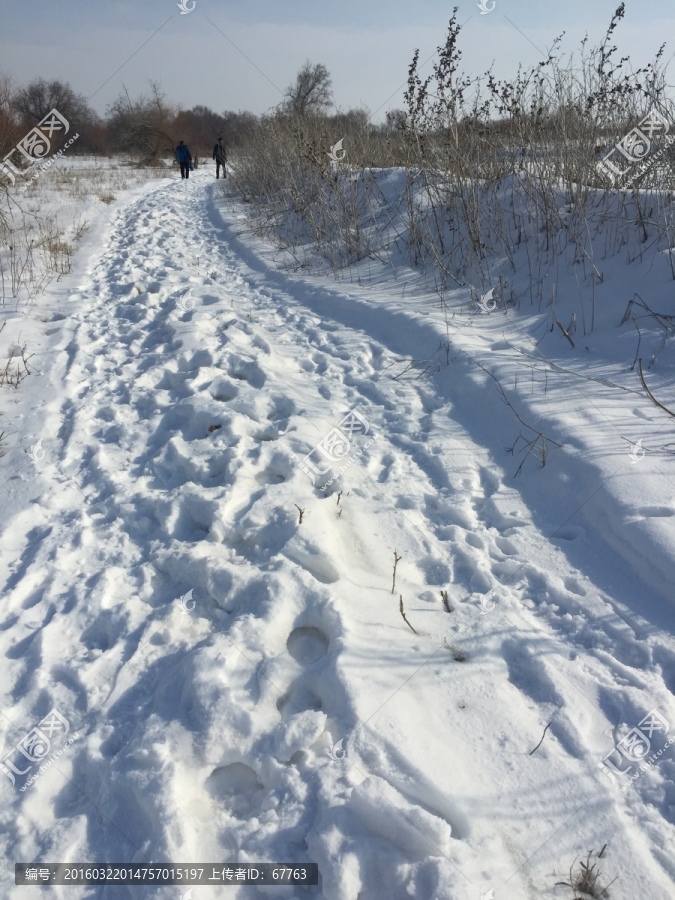 雪野,车辙,足迹