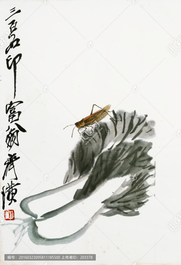 齊白石,白菜蔬菜高清作品