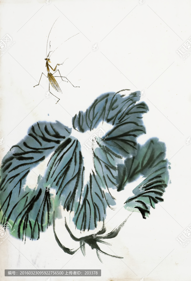 齊白石,白菜蔬菜高清作品