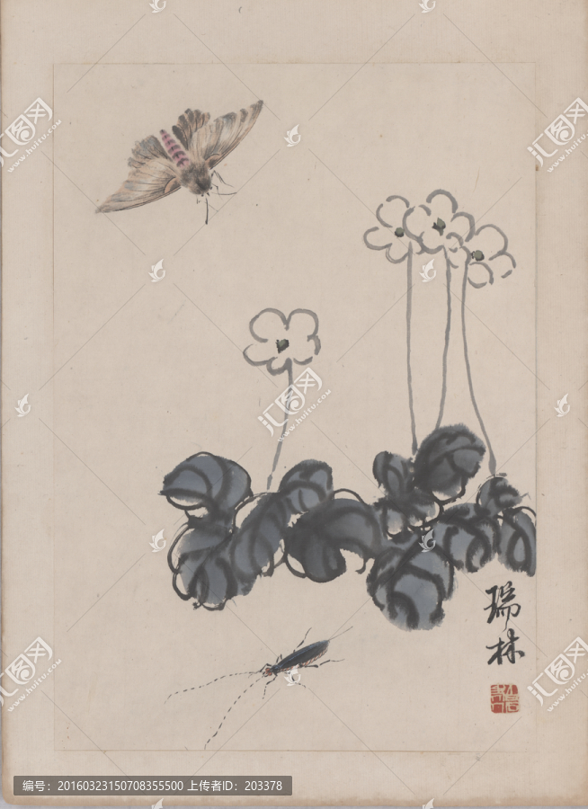 齊白石草蟲原始掃描